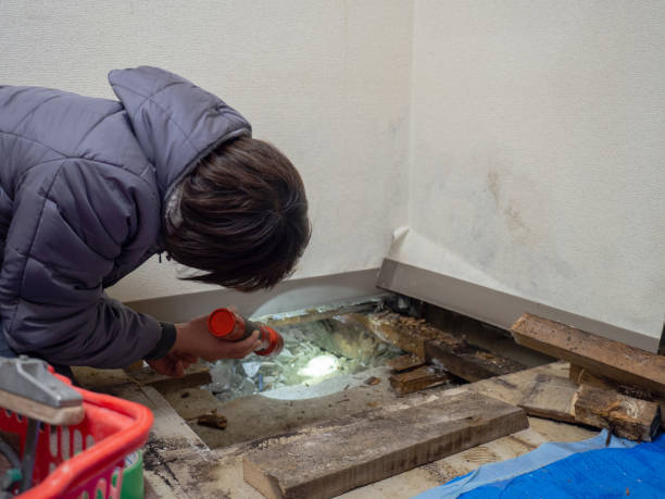 Best Mold Remediation for Healthcare Facilities  in Edison, GA