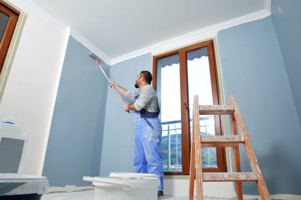 Best Emergency Mold Remediation  in Edison, GA