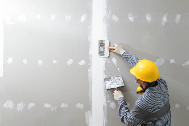 Best Crawl Space Mold Remediation  in Edison, GA