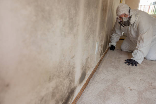 Best Air Quality Testing for Mold Spores  in Edison, GA