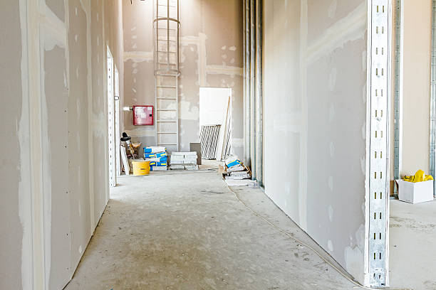 Best Mold Prevention Services  in Edison, GA