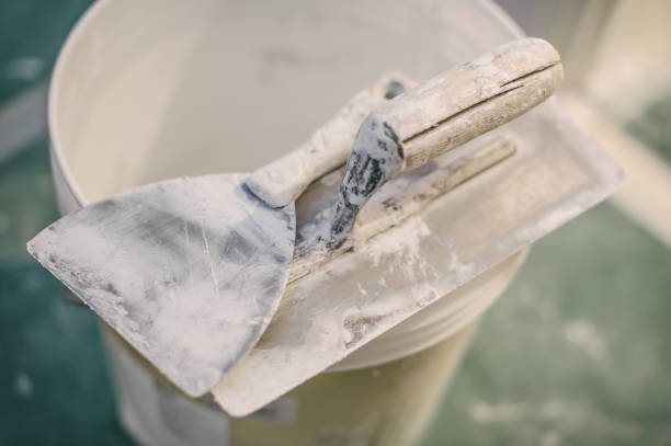 Environmental Consulting for Mold Prevention in Edison, GA